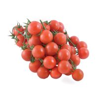 Tomaten, Cherrytomaten Tomaten, Cherrytomaten