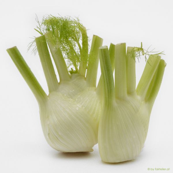 Fenchel