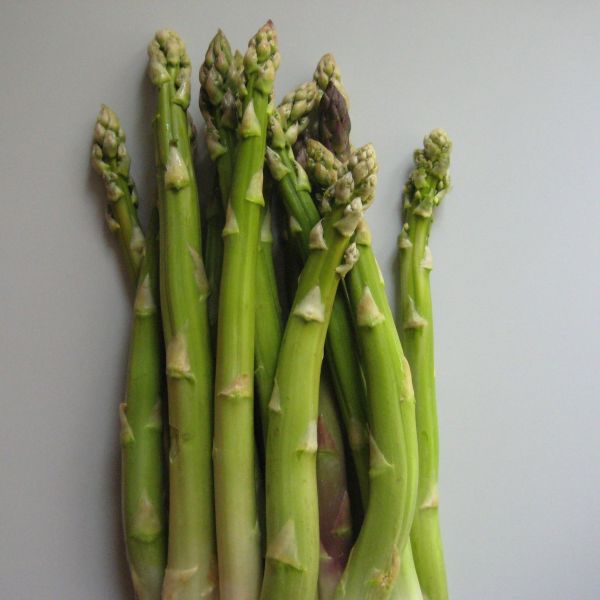 Spargel grün Solo Bio
