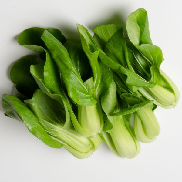 Pak Choi Bio