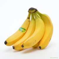 Bananen Fairtrade Bananen Fairtrade