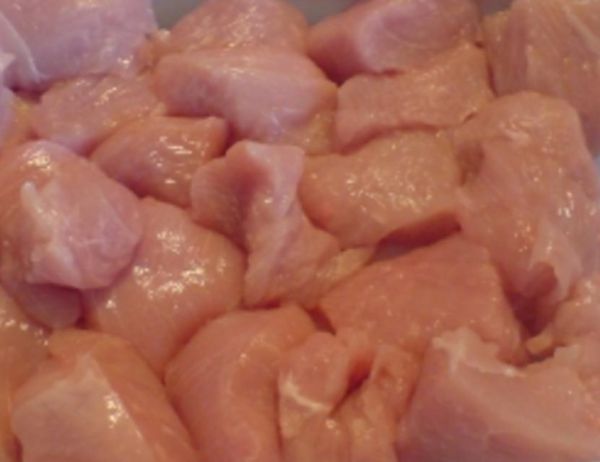 Putenragout Bio