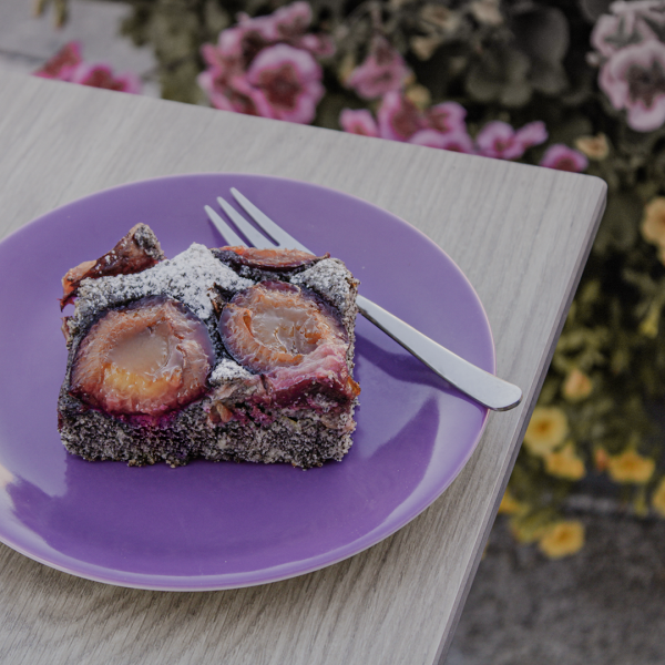 Suchtkuchen mit Mohn & Zwetschke Bio