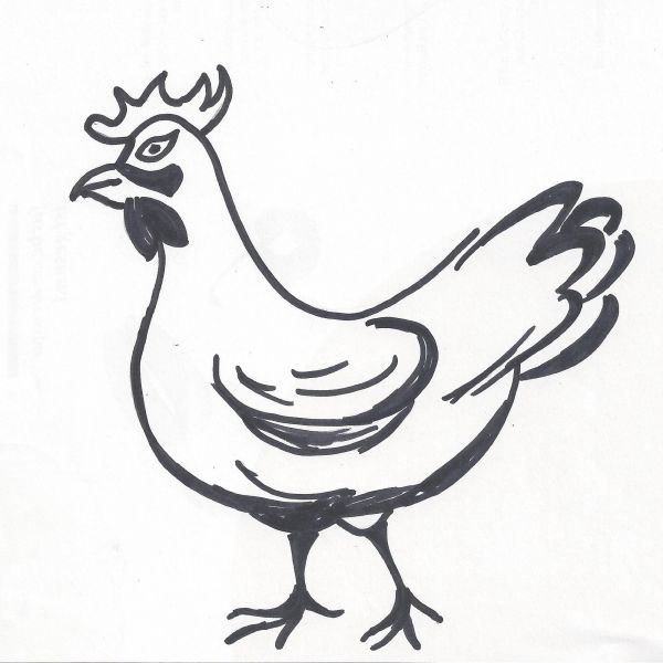 Hühnerleber Bio