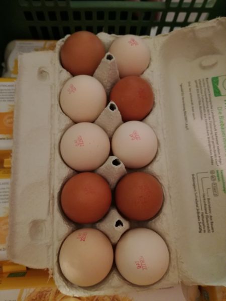 Eier 10er medium