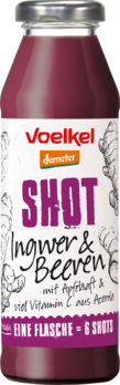 Ingwer & Beeren SHOTS Demeter