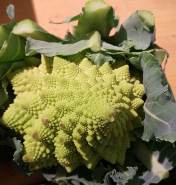 Romanesco