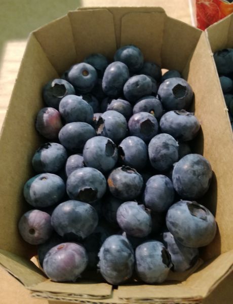Heidelbeeren