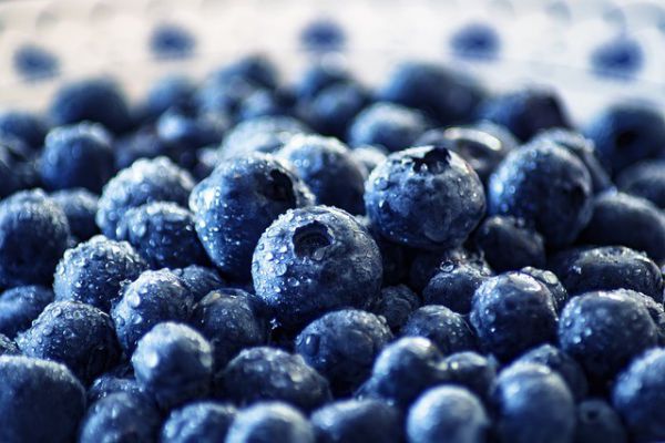 Wildheidelbeeren tiefgekühlt