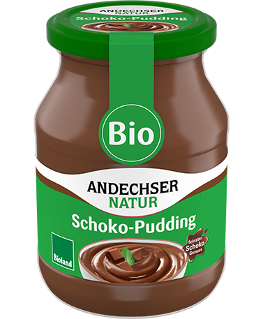 Schoko-Pudding Bio