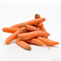 Karotten Bio Karotten Bio