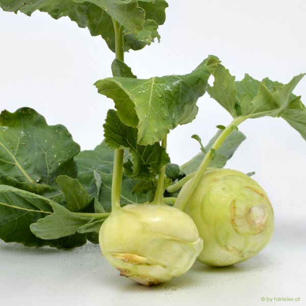 Kohlrabi