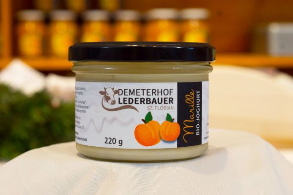 Fruchtjoghurt Marille Bio