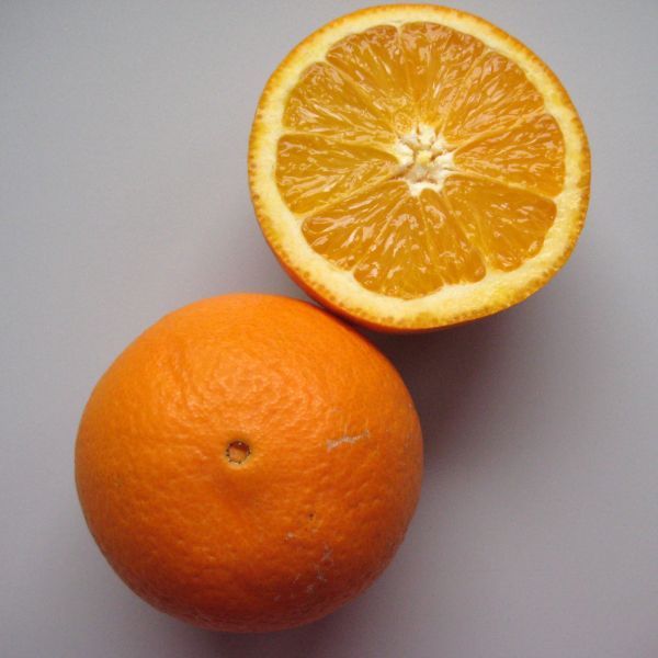 Orangen