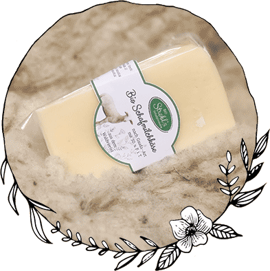 Schafmilch Käse nach Gouda-Art BIO