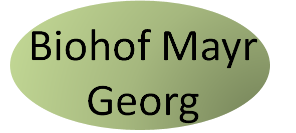 Mayr Georg