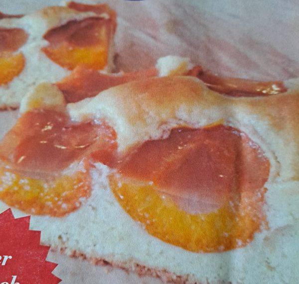 Dinkel Marillen-Kuchen Bio