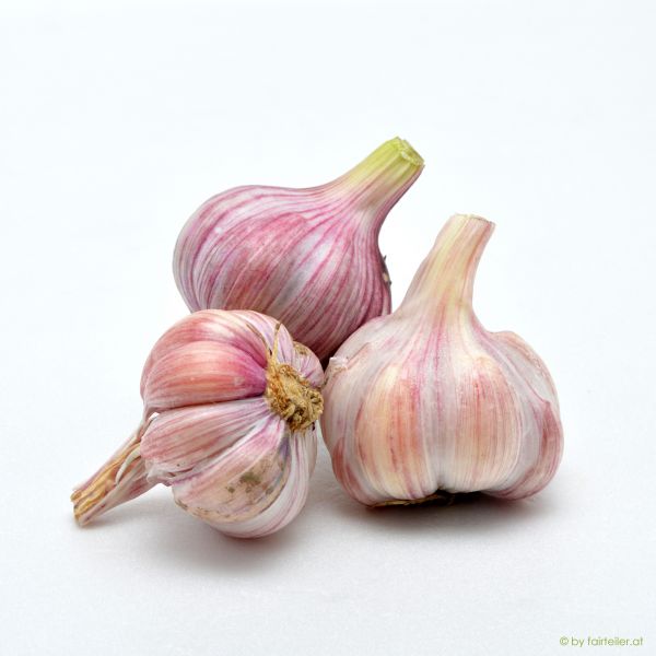 Knoblauch frisch