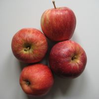 Äpfel "Gala" Bio Äpfel "Gala" Bio