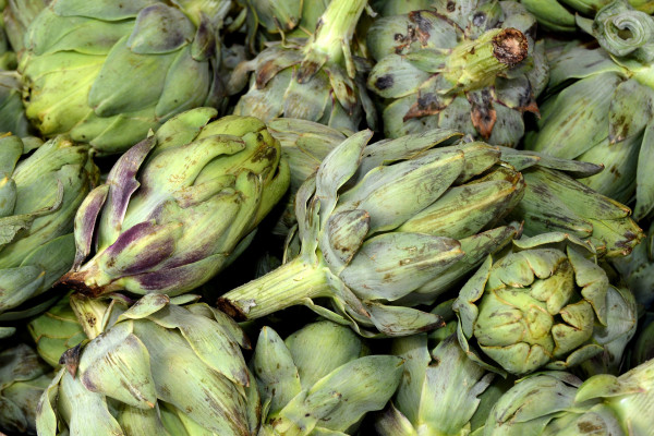 artichokes-3670673_1920F3OYEFB56RmKC