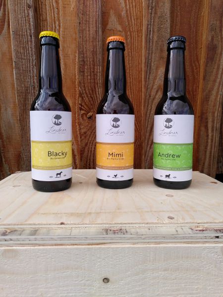 Cider
