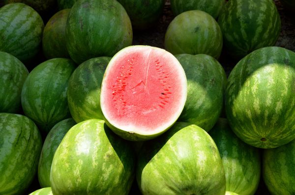 water-melon-1652093_1920