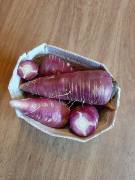 Karotten violett