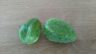 Angurische Gurke (hühnereigroß)