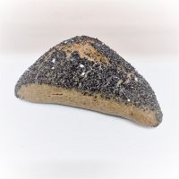 Dinkelmohnweckerl Dinkelmohnweckerl