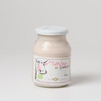 Fruchtjoghurt Himbeer Fruchtjoghurt Himbeer