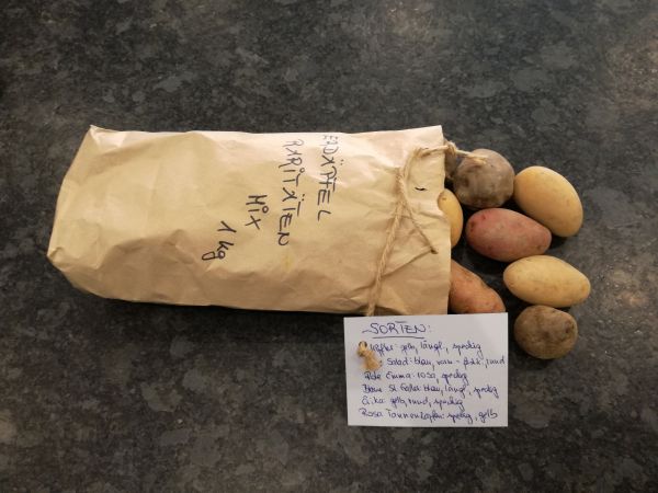 Erdäpfel Raritäten Mix