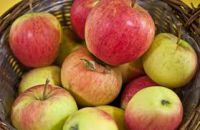 Äpfel "Pinova" Äpfel "Pinova"