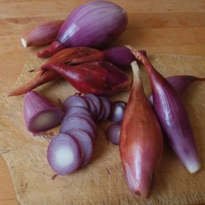 Küchenzwiebel - Rote lange Gemüsezwiebel Samen