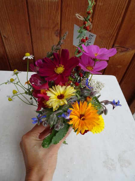 Essbare Blüten