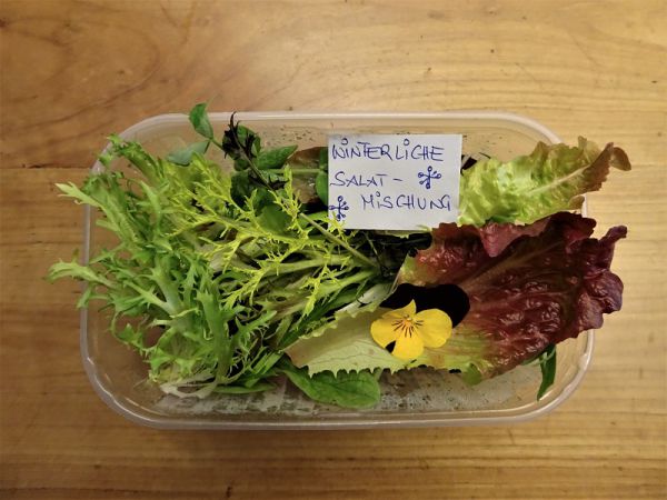 Sommersalat Mischung (Hofgärtnerei)