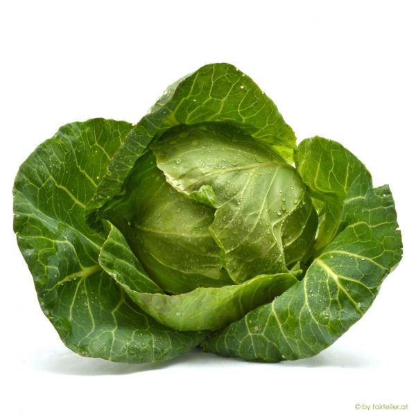 Frühkraut