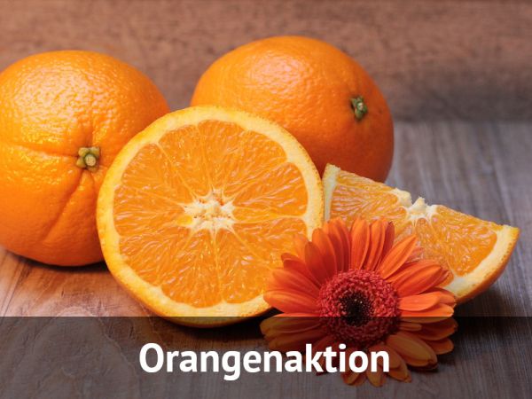 Orangen Merlin (süß) 4,5 kg AKTION