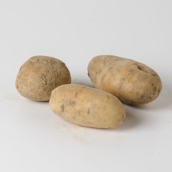 Erdäpfel Theresa (speckig mit mehliger Note)