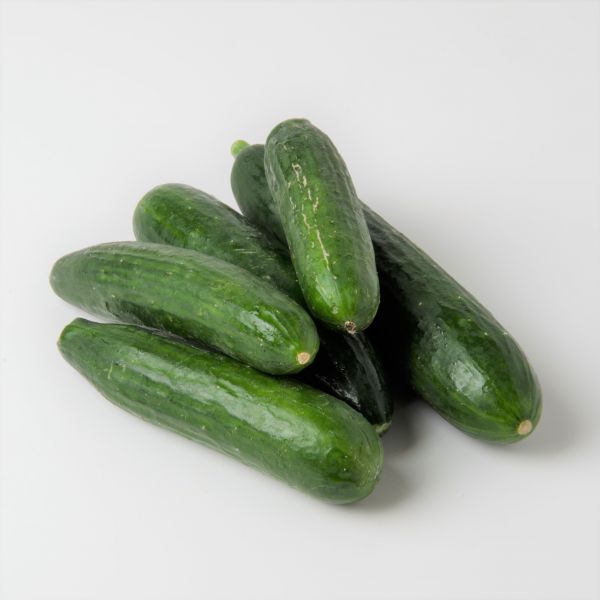 Minigurken