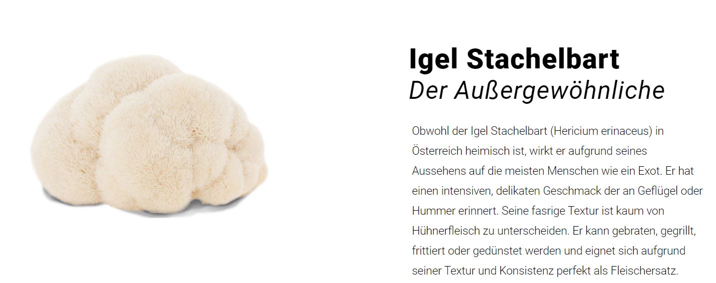 Igelstachelbart3BmJlB24zVyLo