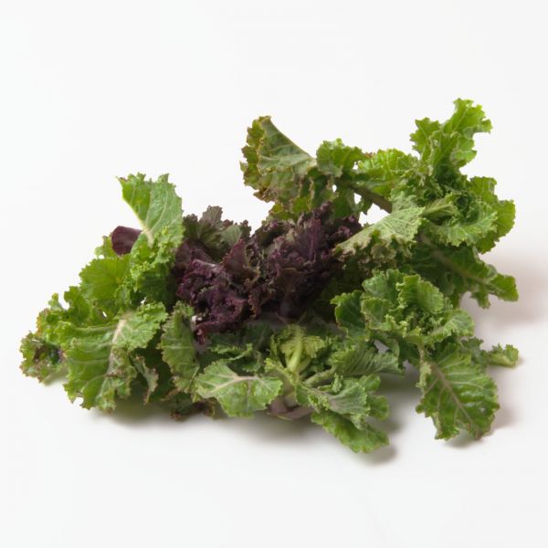 Kalettes - Kreuzung zw. Grünkohl & Sprossenkohl