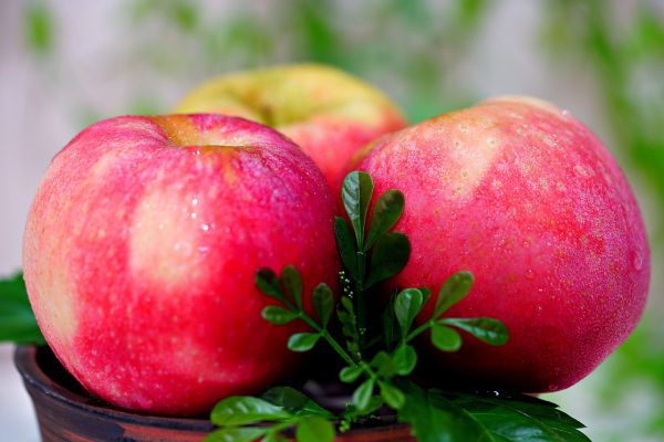 Äpfel Daliclass süß-säuerlich