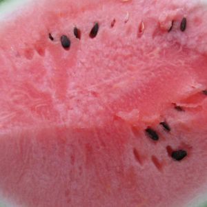 Wassermelone - Hofsorte Rot Samen