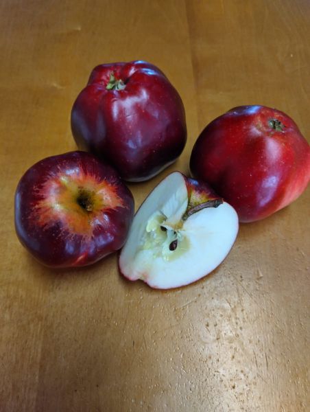Äpfel Herbstkavill (süß-säuerlich)