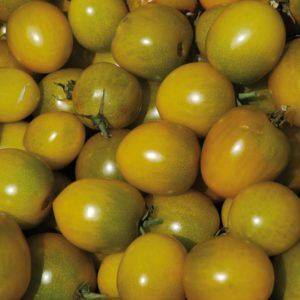 Busch-Paradeiser - Green Grape Samen