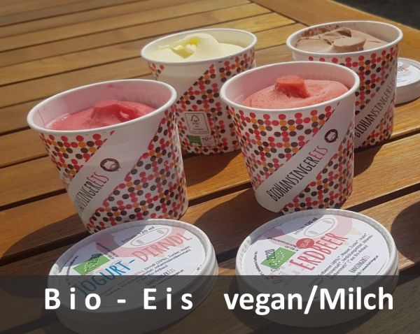 Eis - 120 ml verschiedene Sorten