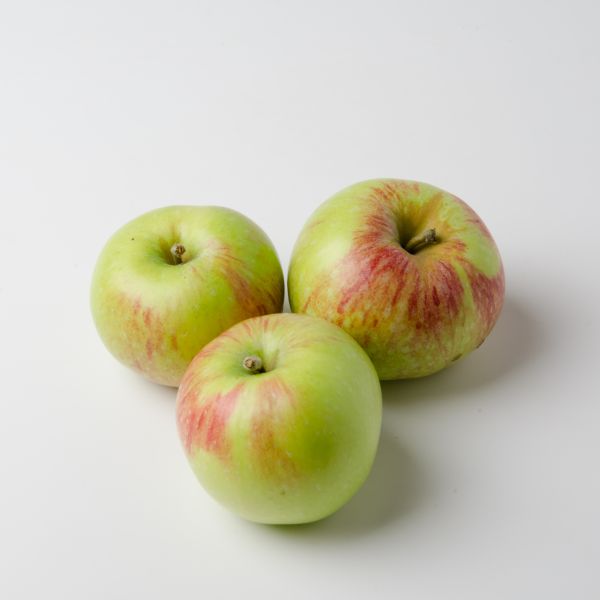 Äpfel Gravensteiner