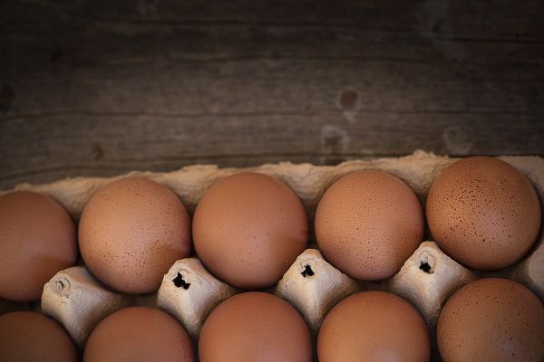 Eier mittel (braun)