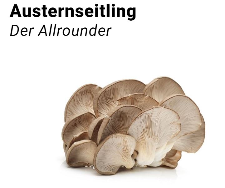 AusternseitlingeozRxis3qsGTVj