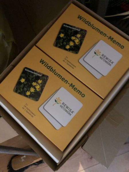 Wildblumen Memo (24 beschriftete Kartenpaare)